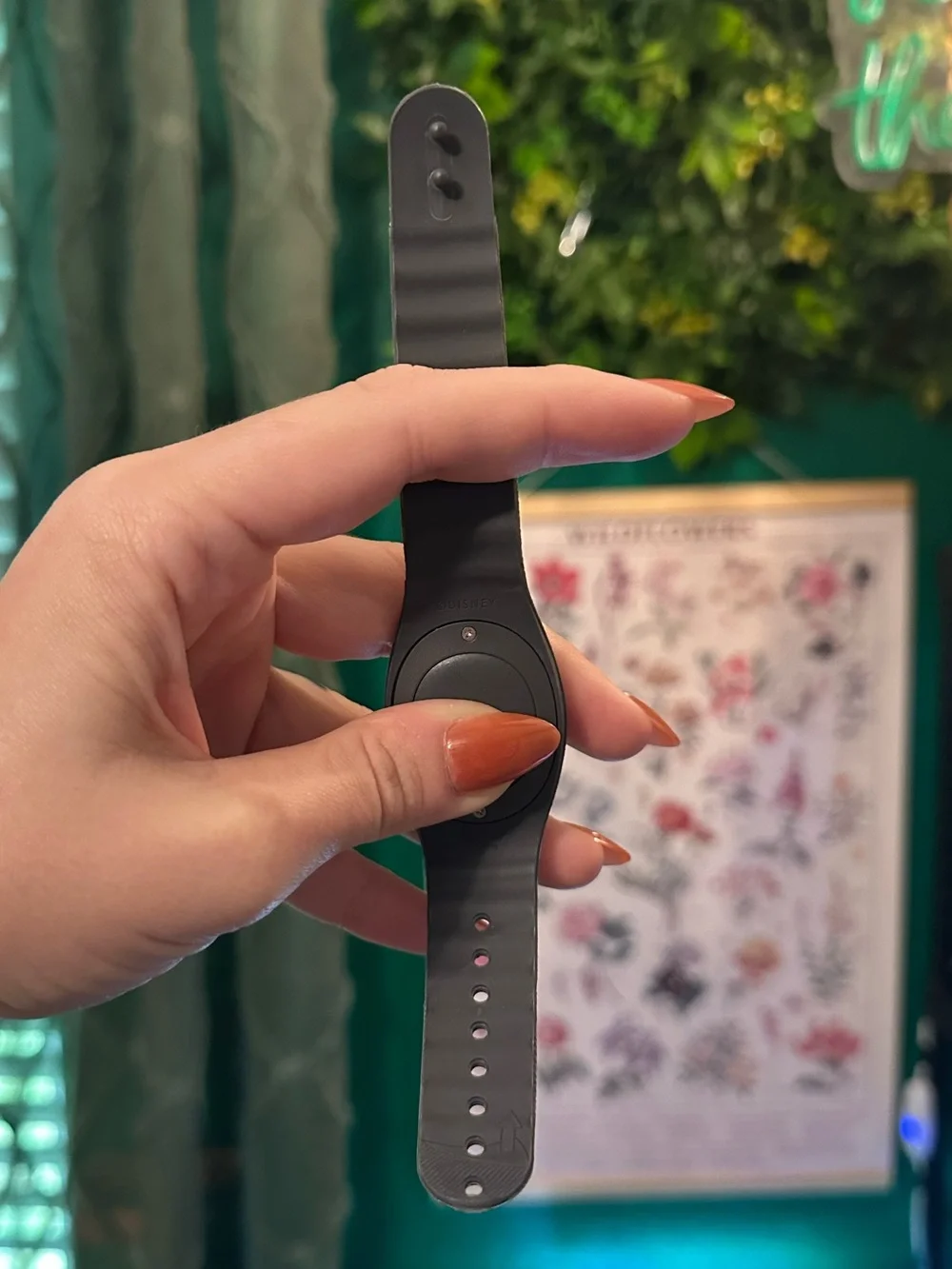Wilderness Explorer Magic Band
